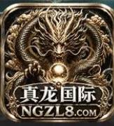 真龙国际